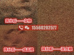 海藻籽里面的雜物應(yīng)該用啥機器清除？海藻籽比重風選篩分機